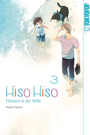 Hiso Hiso - Flüstern in der Stille, Band 3 by Youko Fujitani