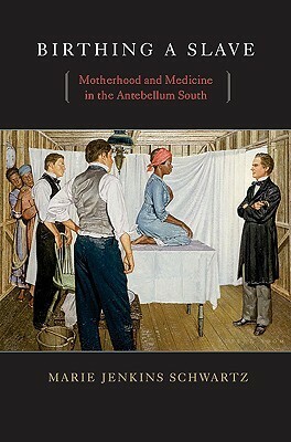 Birthing a Slave: Motherhood and Medicine in the Antebellum South by Marie Jenkins Schwartz