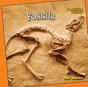 Fossils by Dean Miller