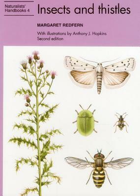 Insects & Thistles by M. Redfern, Margaret Redfern