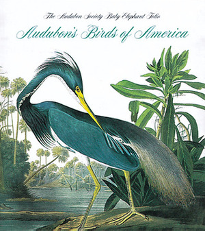 Audubon's Birds Of America: The National Audubon Society Baby Elephant Folio (Tiny Folio) by Virginia Marie Peterson, Roger Tory Peterson