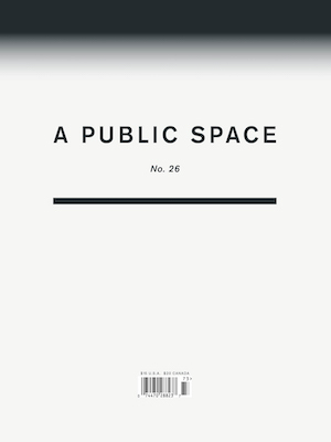 A Public Space #26 by Brigid Hughes