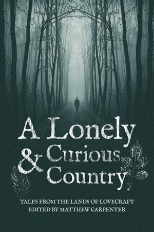 A Lonely And Curious Country by Matthew Carpenter, Paul McNamee, K.H. Vaughan