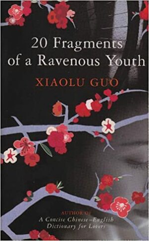 20 Fragments of a Ravenous Youth by Xiaolu Guo