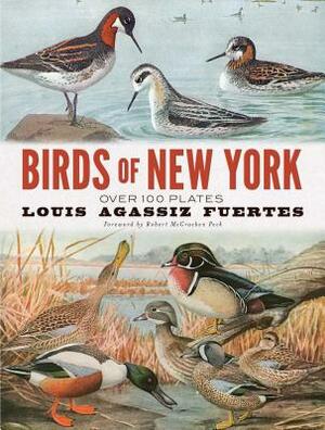 Birds of New York: Over 100 Plates by Louis Agassiz Fuertes
