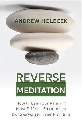 Reverse Meditation by Andrew Holecek, Andrew Holecek