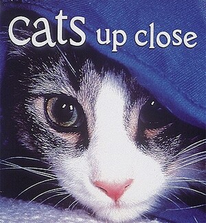 Cats Up Close by Vicki Constantine Croke