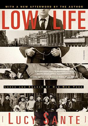 Low Life: Lures and Snares of Old New York by Lucy Sante