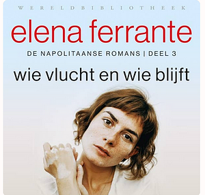 Wie vlucht en wie blijft by Elena Ferrante