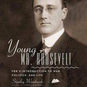 Young Mr. Roosevelt: FDR's Introduction to War, Politics, and Life by Stanley Weintraub