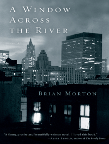 A Window Across the River: A Novel by Brian Morton