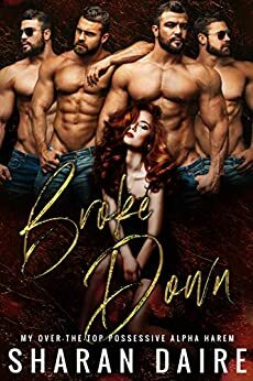 Broke Down: My Over the Top Possessive Alpha Harem by Sharan Daire