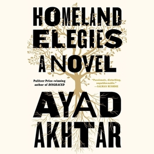 Homeland Elegies by Ayad Akhtar