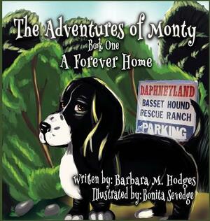 The Adventures of Monty: A Forever Home by Barbara M. Hodges