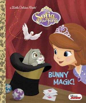 Bunny Magic! by Andrea Posner-Sanchez