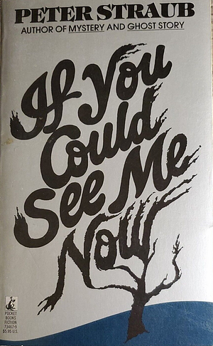 If You Could See Me Now by Peter Straub