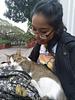 arryiae's profile picture
