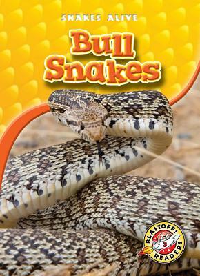 Bull Snakes by Ellen Frazel