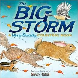 The Big Storm: A Very Soggy Counting Book by Nancy Tafuri