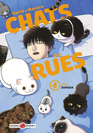Hachi & Maruru : Chats des rues, Tome 4 by Yuri Sonoda