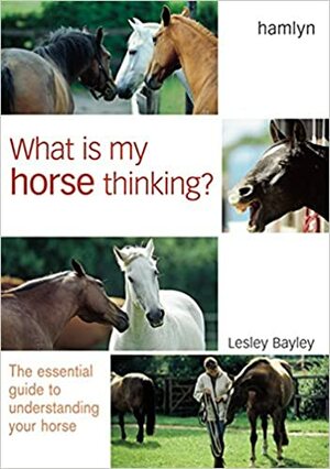 What is My Horse Thinking?: The Essential Guide to Understanding Your Horse by Lesley Bayley