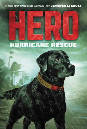 Hero: Hurricane Rescue by Jennifer Li Shotz