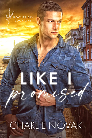 Like I Promised by Charlie Novak