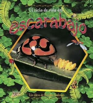 El Ciclo de Vida del Escarabajo by Molly Aloian, Bobbie Kalman