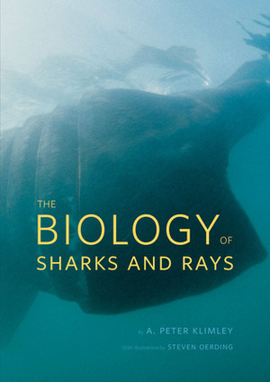 The Biology of Sharks and Rays by A. Peter Klimley, Steven Oerding