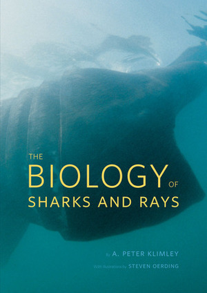 The Biology of Sharks and Rays by A. Peter Klimley, Steven Oerding