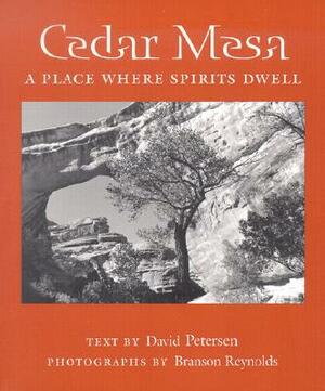 Cedar Mesa: A Place Where Spirits Dwell by David Petersen