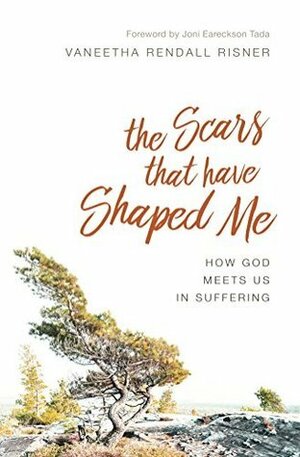 The Scars That Have Shaped Me: How God Meets Us in Suffering by Vaneetha Rendall Risner