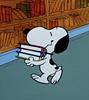 aguslibrary's profile picture