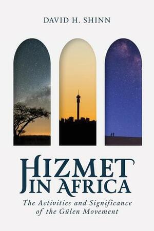 Hizmet in Africa: The Activities and Significance of the Gülen Movement by David H. Shinn