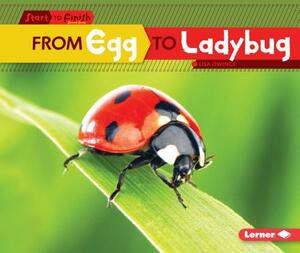 From Egg to Ladybug by Lisa Owings