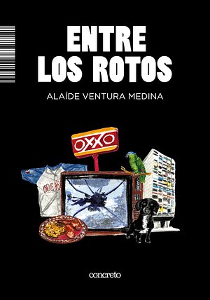 Entre Los Rotos by Alaíde Ventura Medina