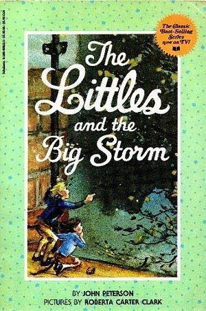 Littles and the Big Storm by John Lawrence Peterson, John Lawrence Peterson