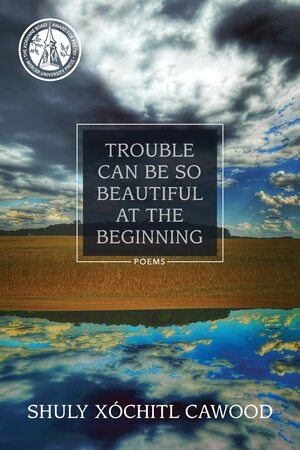 Trouble Can Be So Beautiful at the Beginning by Shuly Xóchitl Cawood