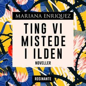 Ting vi mistede i ilden by Mariana Enríquez