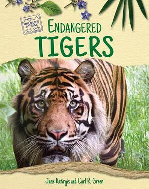 Endangered Tigers by Jane Katirgis