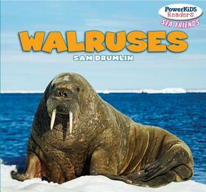 Walruses by Sam Drumlin