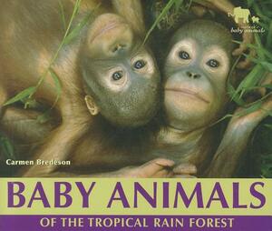 Baby Animals of the Tropical Rain Forest by Carmen Bredeson