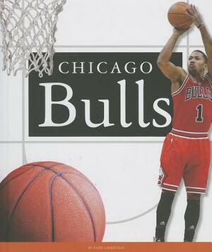 Chicago Bulls by Ellen Labrecque