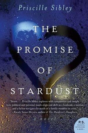 The Promise of Stardust by Priscille Sibley