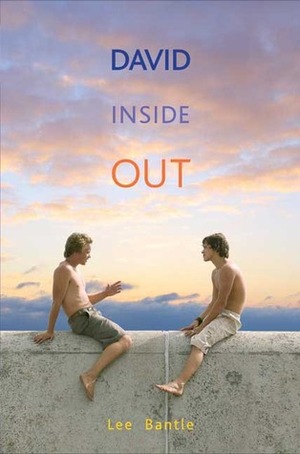 David Inside Out by Lee Bantle