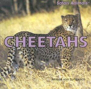 Cheetahs by Amelie Von Zumbusch