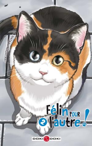 Félin pour l'autre ! Tome 2 by Wataru Nadatani