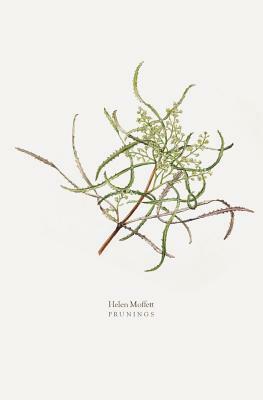 Prunings by Helen Moffett