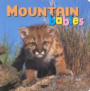 Mountain Babies by Kristen McCurry