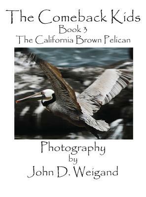 The Comeback Kids, Book 3, the California Brown Pelican by Penelope Dyan
